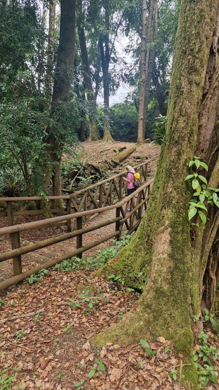 Sophie Nature Walk und Tamarind Falls